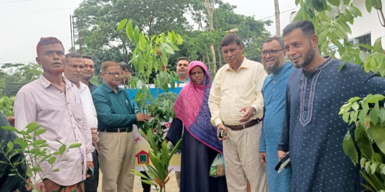 মাদারীপুরে অসহায় মানুষের মাঝে গ্রামীন ব্যাংকের ২০ হাজার গাছের চারা বিতরন
