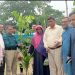 মাদারীপুরে অসহায় মানুষের মাঝে গ্রামীন ব্যাংকের ২০ হাজার গাছের চারা বিতরন