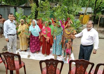 গ্রামীণ ব্যাংকের মেলান্দহ এরিয়ার নাংলা শাখার সদস্যদের মাঝে গাছের চারা বিতরণ 