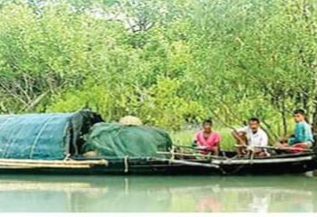 সুন্দরবন অভয়ারণ্যে থেমে নেই অবাধে মাছ ও কাঁকড়া আহরণ