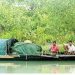 সুন্দরবন অভয়ারণ্যে থেমে নেই অবাধে মাছ ও কাঁকড়া আহরণ