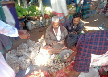দুর্গাপুরে পরিত্যক্ত কাটা আলু কিনতে ক্রেতাদের ভিড়