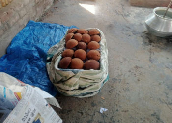 দুর্গাপুরে চকচকে ভেজাল গুড়ে ছয়লাব বাজার