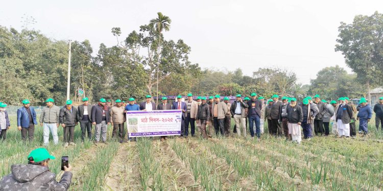 ঠাকুরগাঁও সুগার মিলে আখের সাথীফসল চাষাবাদ ও আগাম আখচাষে মাঠ দিবস পালিত