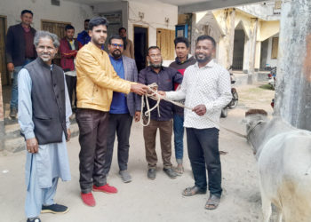 পঞ্চগড়ের বুড়াবুড়ি ইউনিয়ন পরিষদে খোয়ারে থাকা গরু উন্মুক্ত নিলামে বিক্রি