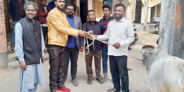 পঞ্চগড়ের বুড়াবুড়ি ইউনিয়ন পরিষদে খোয়ারে থাকা গরু উন্মুক্ত নিলামে বিক্রি