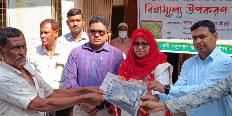 ঝিনাইদহে কৃষকের মাঝে বিনামূল্যে সার ও বীজ বিতরণ