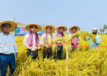 ঝিনাইদহে ধান কাটার উদ্বোধন করলেন জেলা প্রশাসক