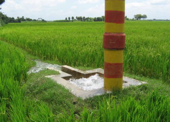 ঠাকুরগাঁওয়ে বিএমডিএ’র গভীর নলকূপ গুলোর সেচনালা সম্প্রসারণের দাবি কৃষকের