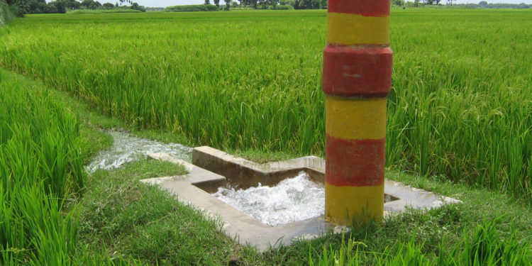 ঠাকুরগাঁওয়ে বিএমডিএ’র গভীর নলকূপ গুলোর সেচনালা সম্প্রসারণের দাবি কৃষকের