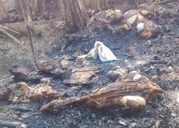 ঠাকুরগাঁওয়ে আগুনে পুড়ে ৫ গরু ও ৭টি ছাগলের মর্মান্তিক মৃত্যু