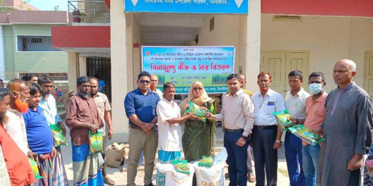 ঝিনাইদহে পাট বীজ ও সার পেলেন ৮০০ কৃষক