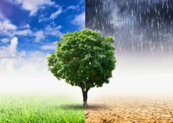 জলবায়ু সুশাসন ও সামাজিক জবাবদিহিতায় টেকসই অগ্রযাত্রা