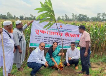 ঠাকুরগাঁওয়ে এলজিইডির ৩দিন ব্যাপী বৃক্ষরোপণ কর্মসূচির উদ্বোধন
