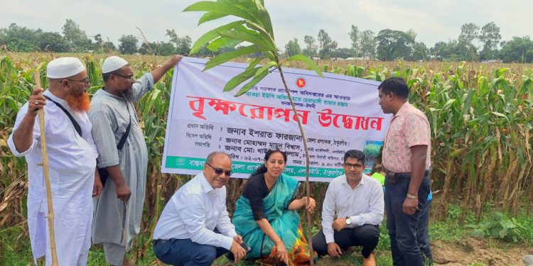 ঠাকুরগাঁওয়ে এলজিইডির ৩দিন ব্যাপী বৃক্ষরোপণ কর্মসূচির উদ্বোধন