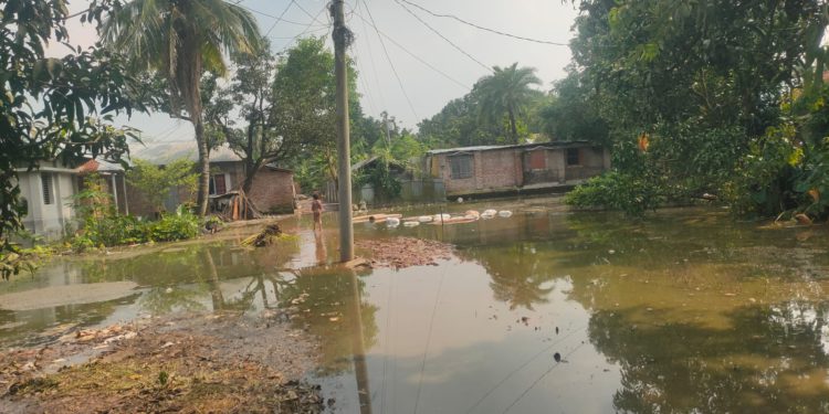 স্বল্প বৃষ্টিতে ডুবে যায় রাস্তা জনদুর্ভোগ চরমে