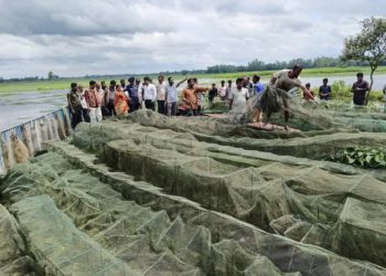 ঠাকুরগাঁওয়ে ৪ লক্ষ্য টাকা মূল্যের ৭০টি অবৈধ জাল পুড়িয়ে দিলো প্রশাসন