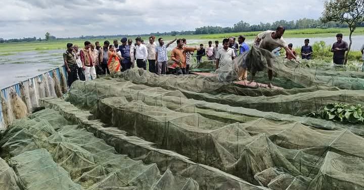 ঠাকুরগাঁওয়ে ৪ লক্ষ্য টাকা মূল্যের ৭০টি অবৈধ জাল পুড়িয়ে দিলো প্রশাসন