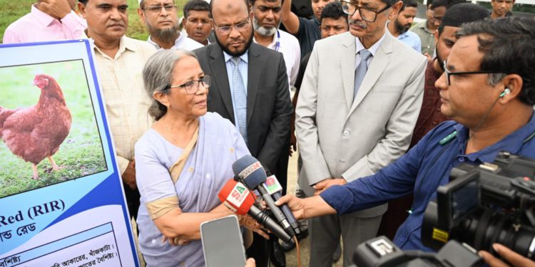 গবাদি প্রাণীতে যত্রতত্র অ্যান্টিবায়োটিকের ব্যবহার ক্ষতিকারক -মৎস্য ও প্রাণিসম্পদ উপদেষ্টা