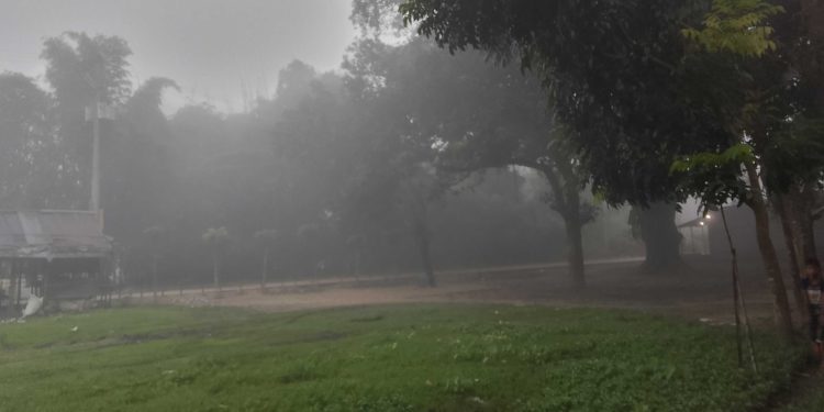 ঠাকুরগাঁওয়ে শরতেই শীতের আগমনী বার্তা 