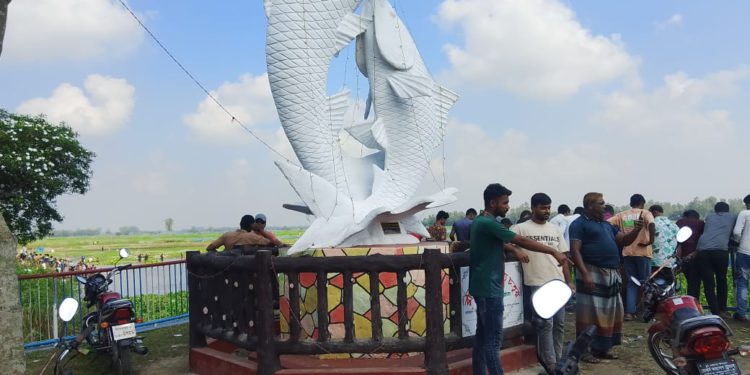 ঠাকুরগাঁওয়ের বুড়ির বাঁধে চলছে মাছ ধরার মহোউৎসব