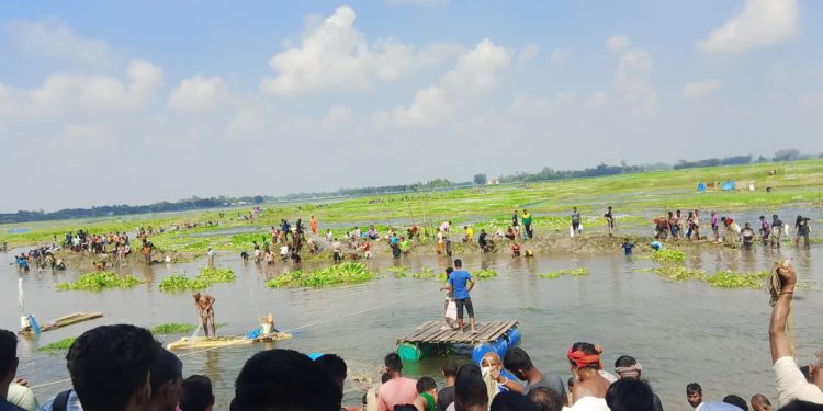 ঠাকুরগাঁওয়ের বুড়ির বাঁধে চলছে মাছ ধরার মহোউৎসব