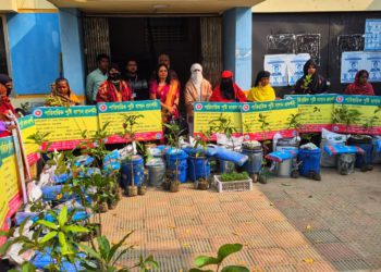 দুর্গাপুরে পারিবারিক পুষ্টি বাগান করতে চারা উপকরণ বিতরণ