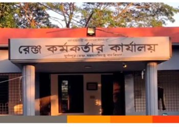 বনের গাছ প্রভাবশালীর বাড়িতে: অভিযানে জব্দ