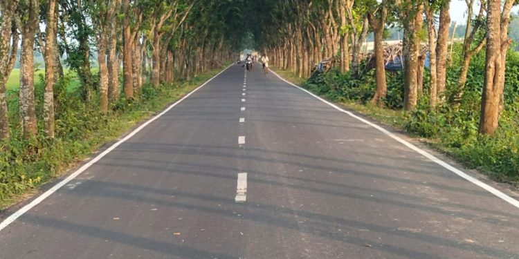 সড়ক নির্মাণ কাজে কার্পেটিং তুলে বাধা না দেওয়ার আহ্বান