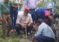 খাল উদ্ধারের পর তীরে বৃক্ষরোপন করছে মসিক, স্থাপন করা হবে পার্ক