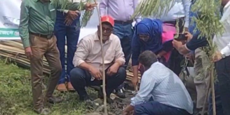 খাল উদ্ধারের পর তীরে বৃক্ষরোপন করছে মসিক, স্থাপন করা হবে পার্ক