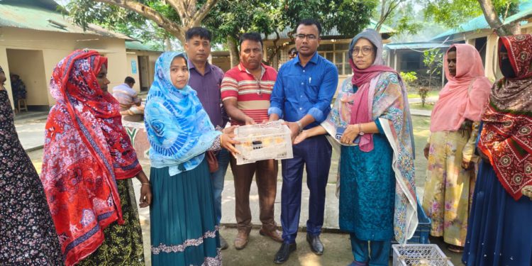 দুর্গাপুরে ব্র‍্যাক মাইক্রোফাইন্যান্স কর্মসূচীর উদ্যোগে বিনামূল্যে মুরগির বাচ্চা বিতরণ