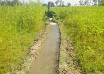 ঠাকুরগাঁওয়ে বিএমডিএ’র সেচ ব্যবস্থার সুফল পাচ্ছে কৃষক  