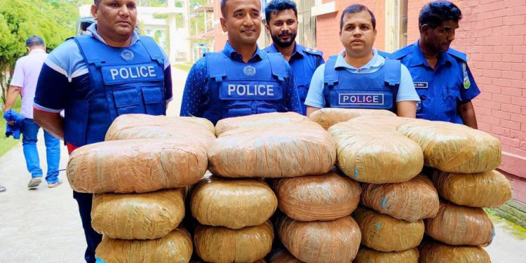 ময়মনসিংহে দুই মন গাজা উদ্ধার পুলিশের