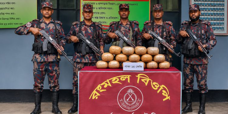 কুষ্টিয়ায় বিজিবির বড় ধাক্কা: পৌনে ৬ কোটি টাকার অবৈধ জাল ও গাঁজা জব্দ